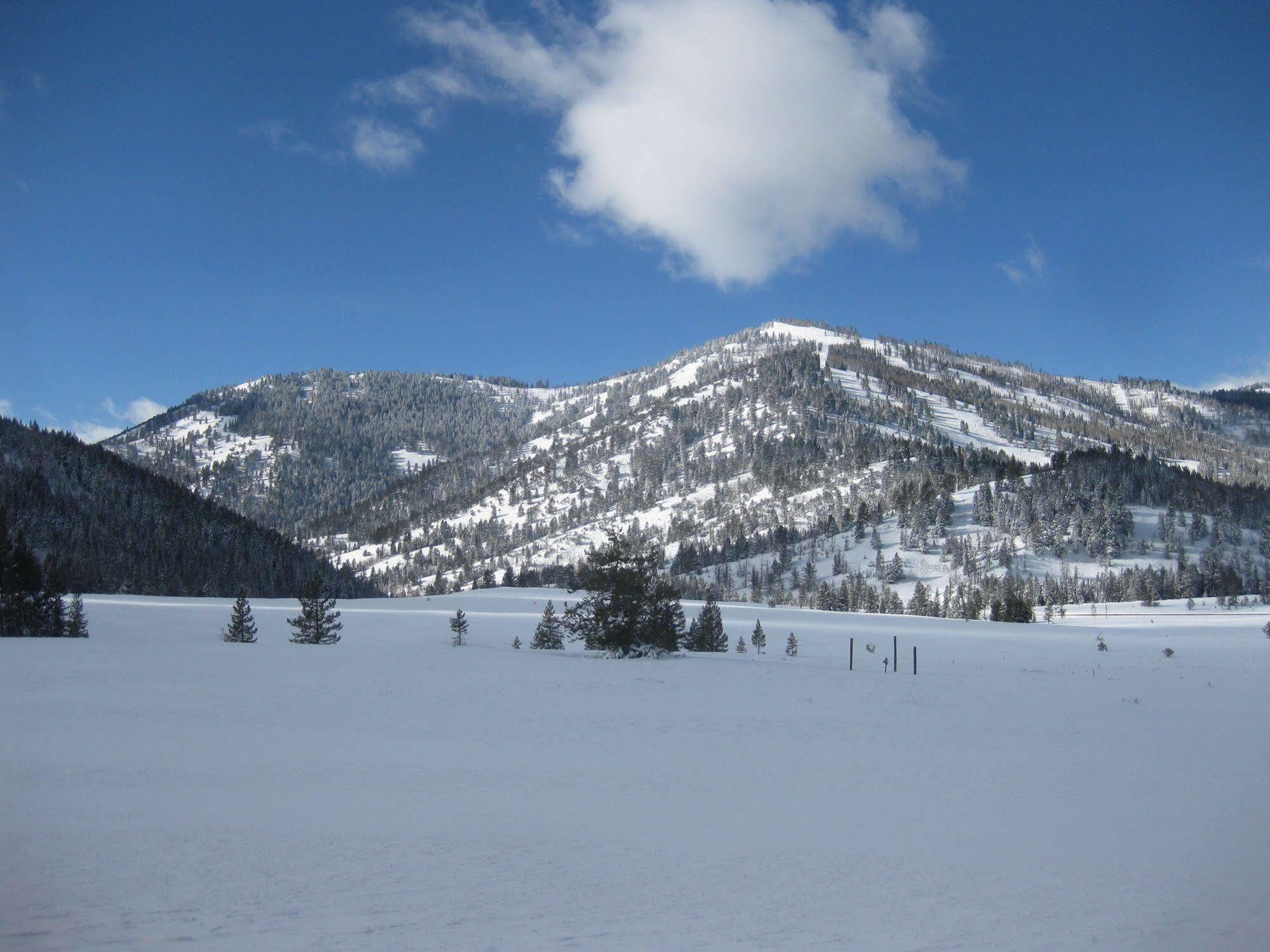 Beaver Creek Lodge Logan Dış mekan fotoğraf