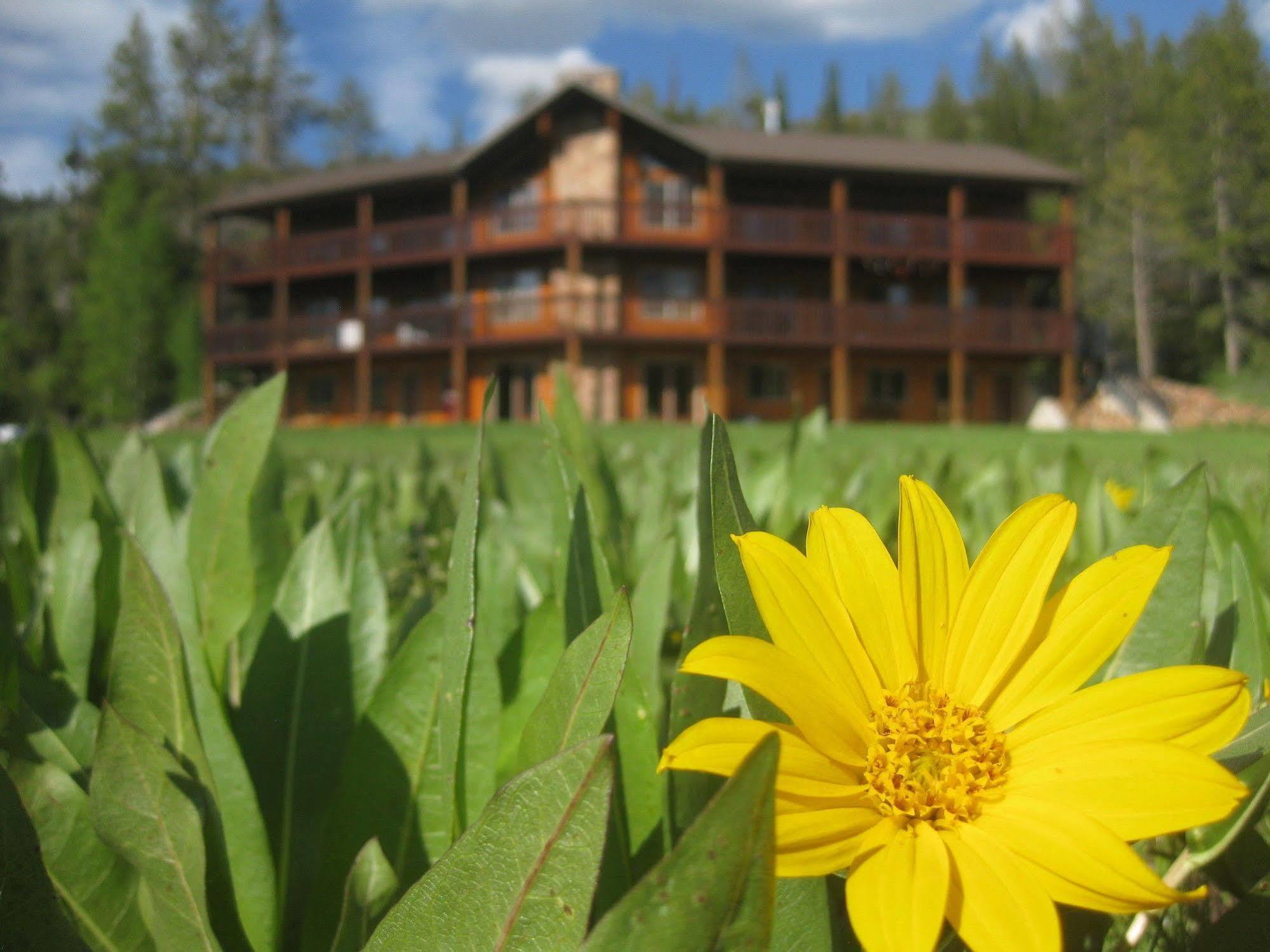 Beaver Creek Lodge Logan Dış mekan fotoğraf